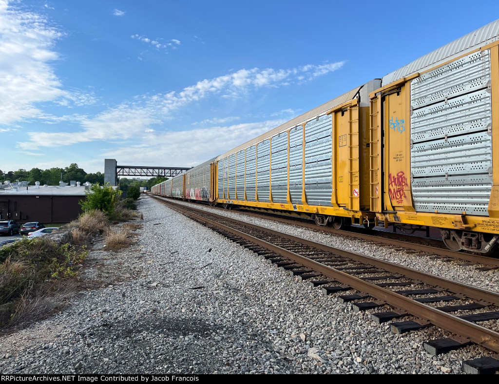 TTGX 965194